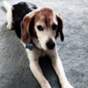 Meet your Posher, Joanne